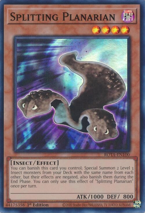Splitting Planarian (100) (ROTA) - YuGiOh Single