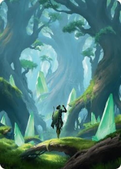 Forest Art Card (25/54) (25) [ASFDN] - MTG Single