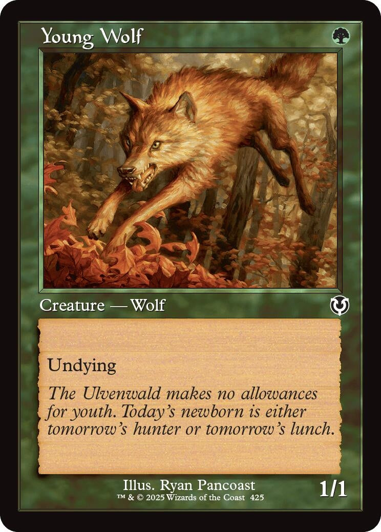Young Wolf (Retro Frame) (425) [INR] - MTG Single