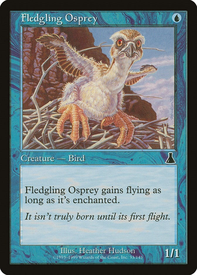Fledgling Osprey (33) [UDS] - MTG Single