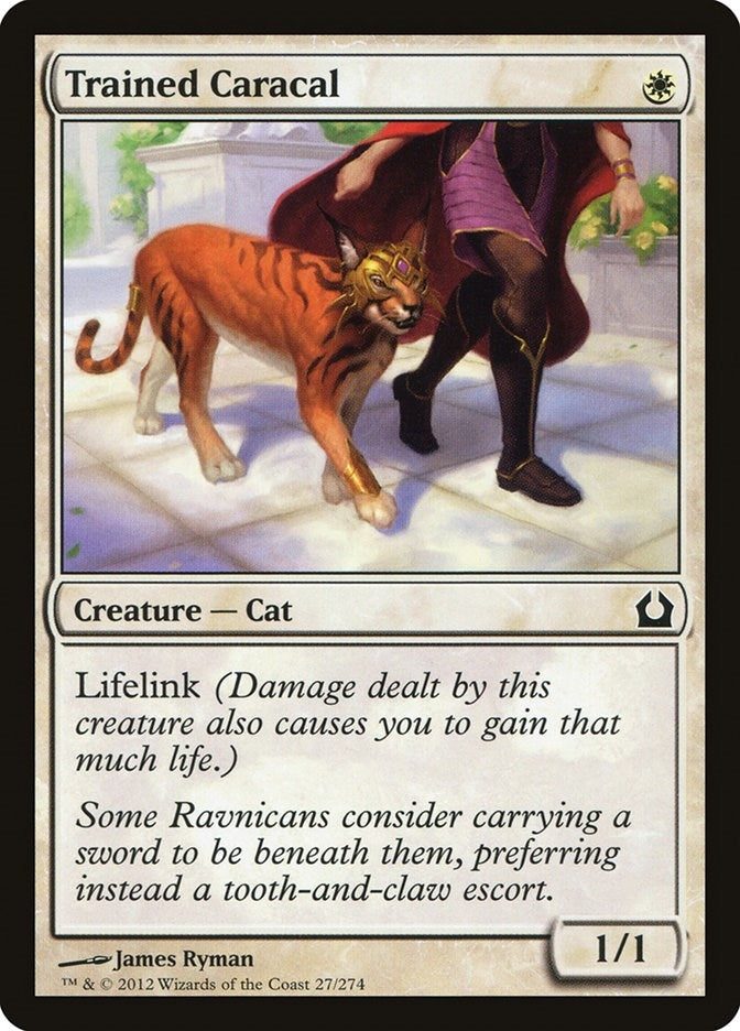 Trained Caracal (27) [RTR] - MTG Single