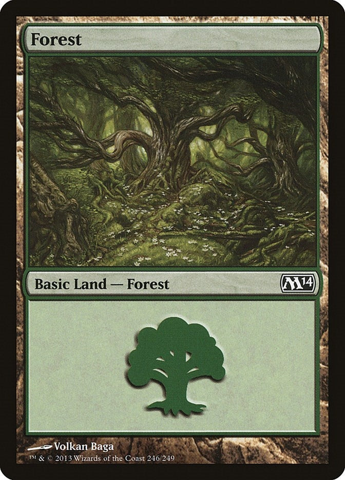 Forest (246) (246) [M14] - MTG Single