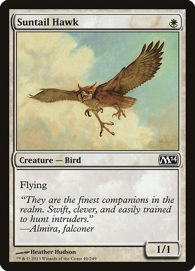 Suntail Hawk (40) [M14] - MTG Single