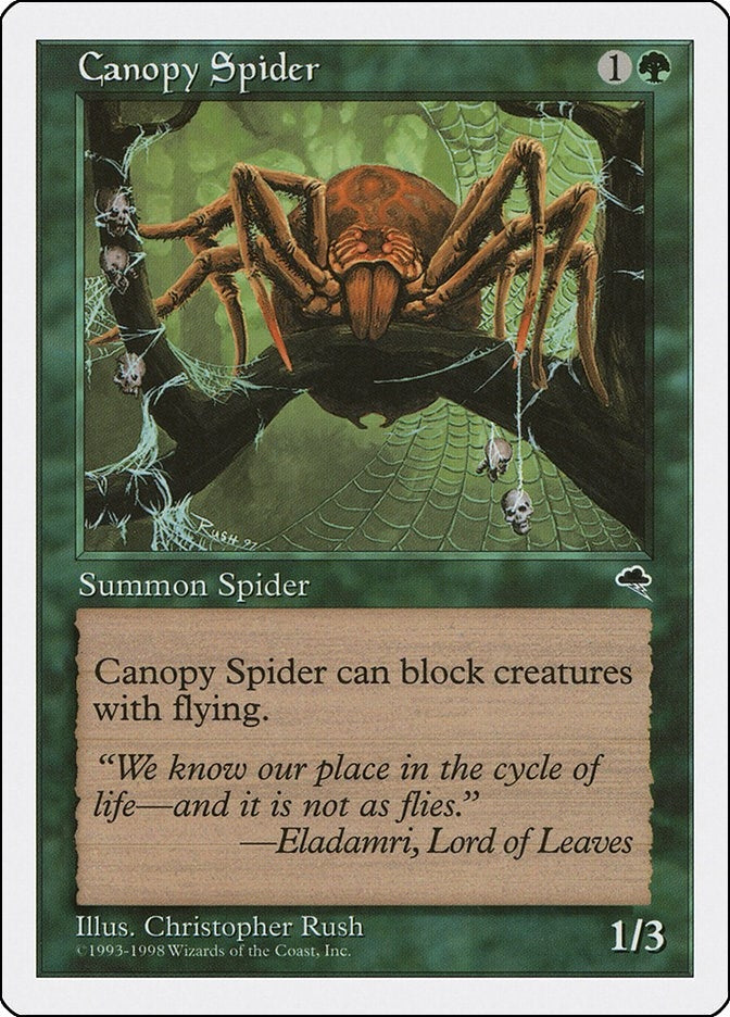 Canopy Spider (64) [ATH] - MTG Single