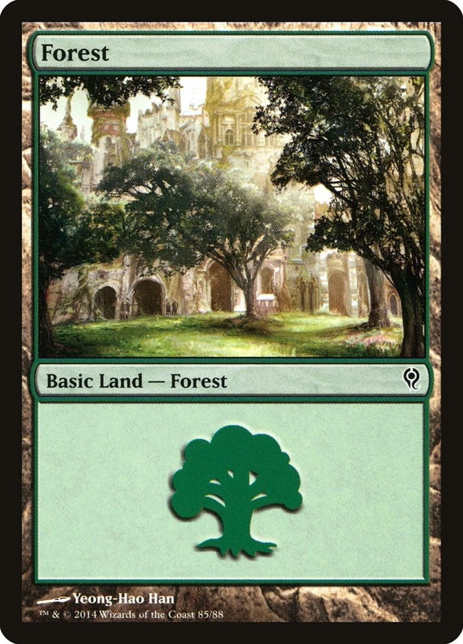 Forest (85) (85) [DDM] - MTG Single