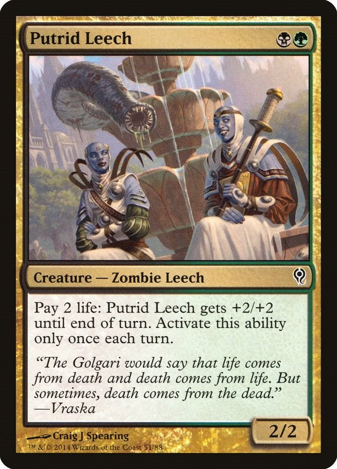 Putrid Leech (51) [DDM] - MTG Single