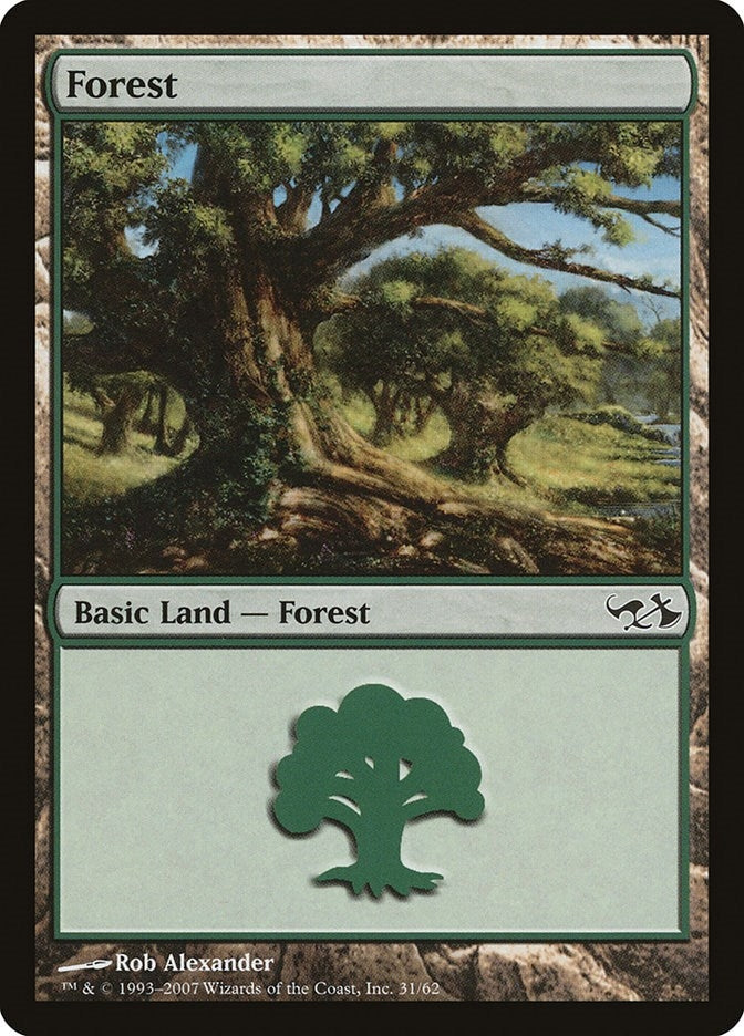 Forest (31) (31) [EVG] - MTG Single