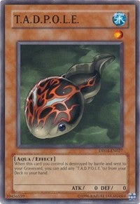 T.A.D.P.O.L.E. (4027) (DR04) - YuGiOh Single