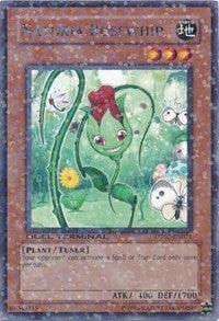 Naturia Rosewhip (2071) (DT02) - YuGiOh Single