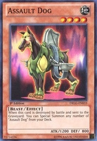 Assault Dog (33) (DRLG) - YuGiOh Single
