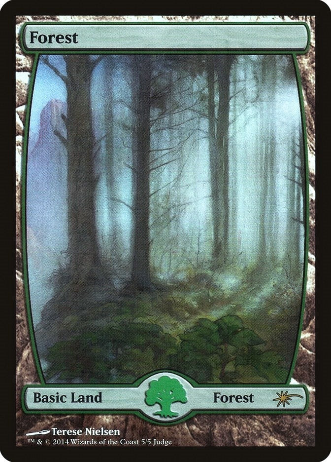 Forest - Full Art (5) (5) [JDG] - MTG Single