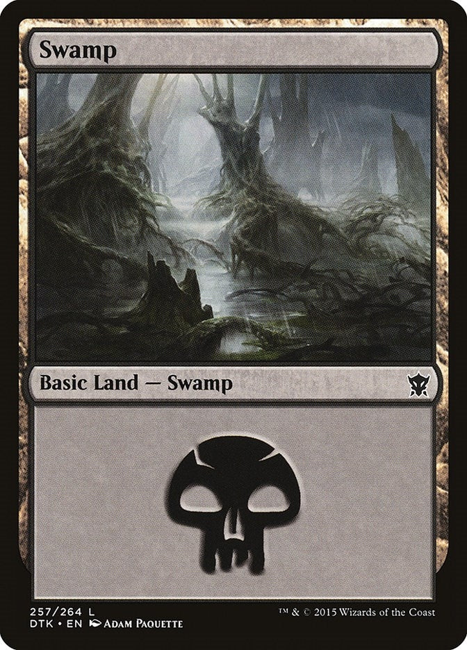 Swamp (257) (257) [DTK] - MTG Single