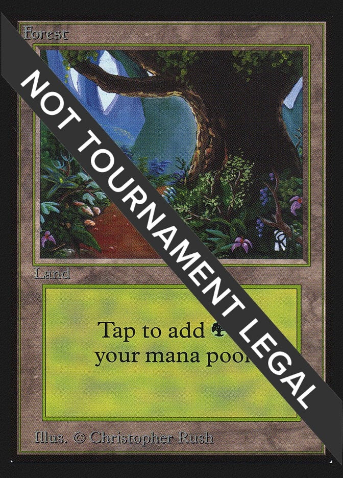 Forest (B) (IE) (281) [IED] - MTG Single